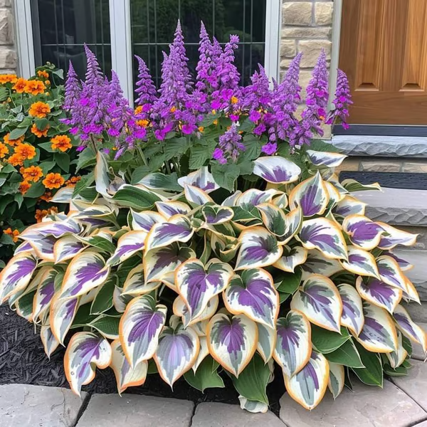 🔥Last day clearance🔥Premium Rare Hosta Seeds🌿Low-Maintenance Shade-Tolerant Plants【98% Germination Rate】