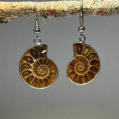 Natural Ammonite Fossil 925 Sterling Silver Pendant – One-of-a-Kind Nautilus Necklace