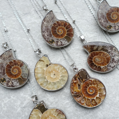 Natural Ammonite Fossil 925 Sterling Silver Pendant – One-of-a-Kind Nautilus Necklace