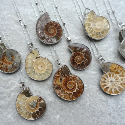 Natural Ammonite Fossil 925 Sterling Silver Pendant – One-of-a-Kind Nautilus Necklace