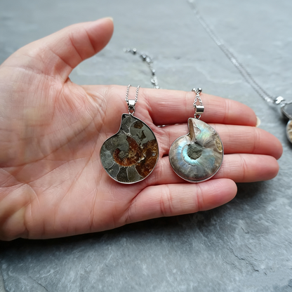 Natural Ammonite Fossil 925 Sterling Silver Pendant – One-of-a-Kind Nautilus Necklace