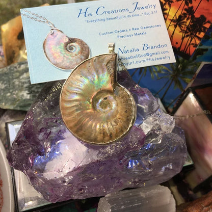 Natural Ammonite Fossil 925 Sterling Silver Pendant – One-of-a-Kind Nautilus Necklace