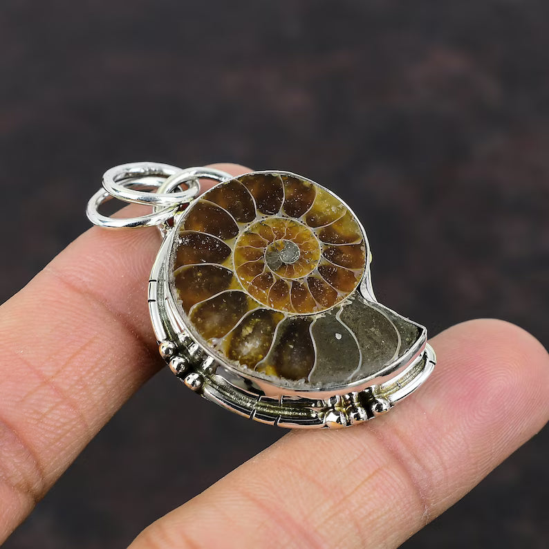 Precious Cambrian ancient conch fossil pendant