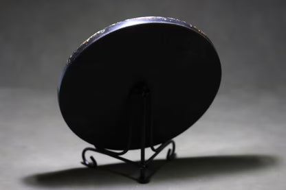 Collection of Precious Jurassic-aged nautilus Fossil Specimens【Free support stand】