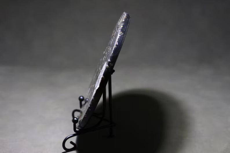 Collection of Precious Jurassic-aged nautilus Fossil Specimens【Free support stand】