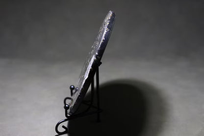 Collection of Precious Jurassic-aged nautilus Fossil Specimens【Free support stand】